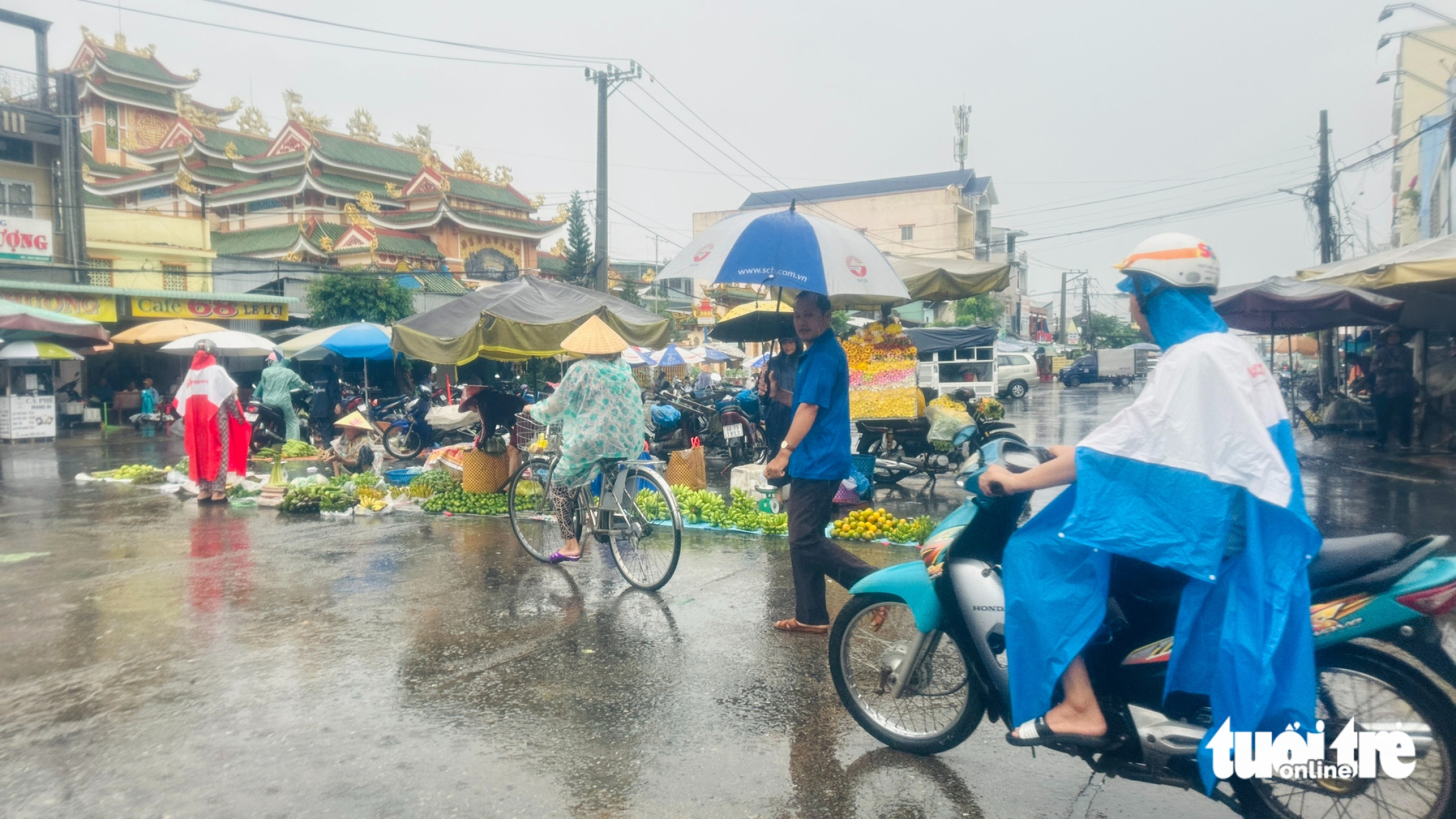 同塔省多地降雨量超过50毫米,河岸滑坡导致4栋房屋倒塌